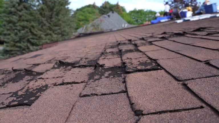 Best Flat Roofing  in Georgetown, TX